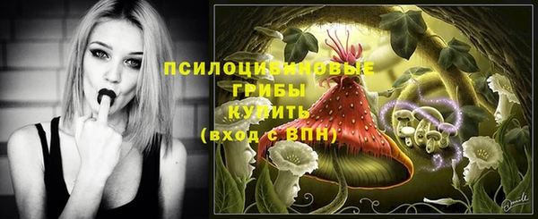 молекула духа Беломорск