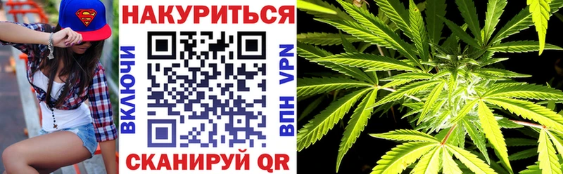 Шишки марихуана план  где можно купить   Купино 